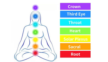 The 7 chakras of the body